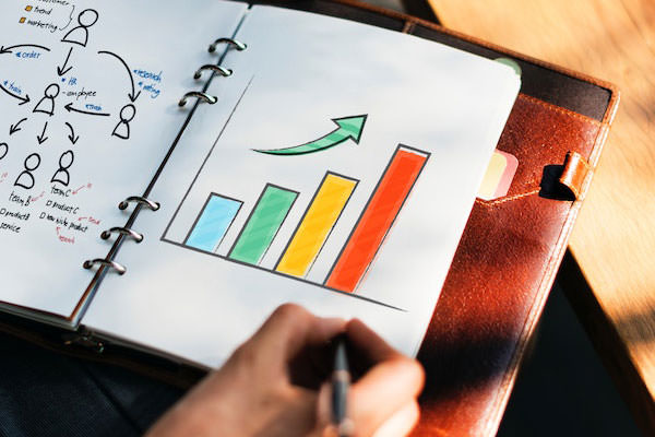 SEO Analizi Projesi - Balıkesir
